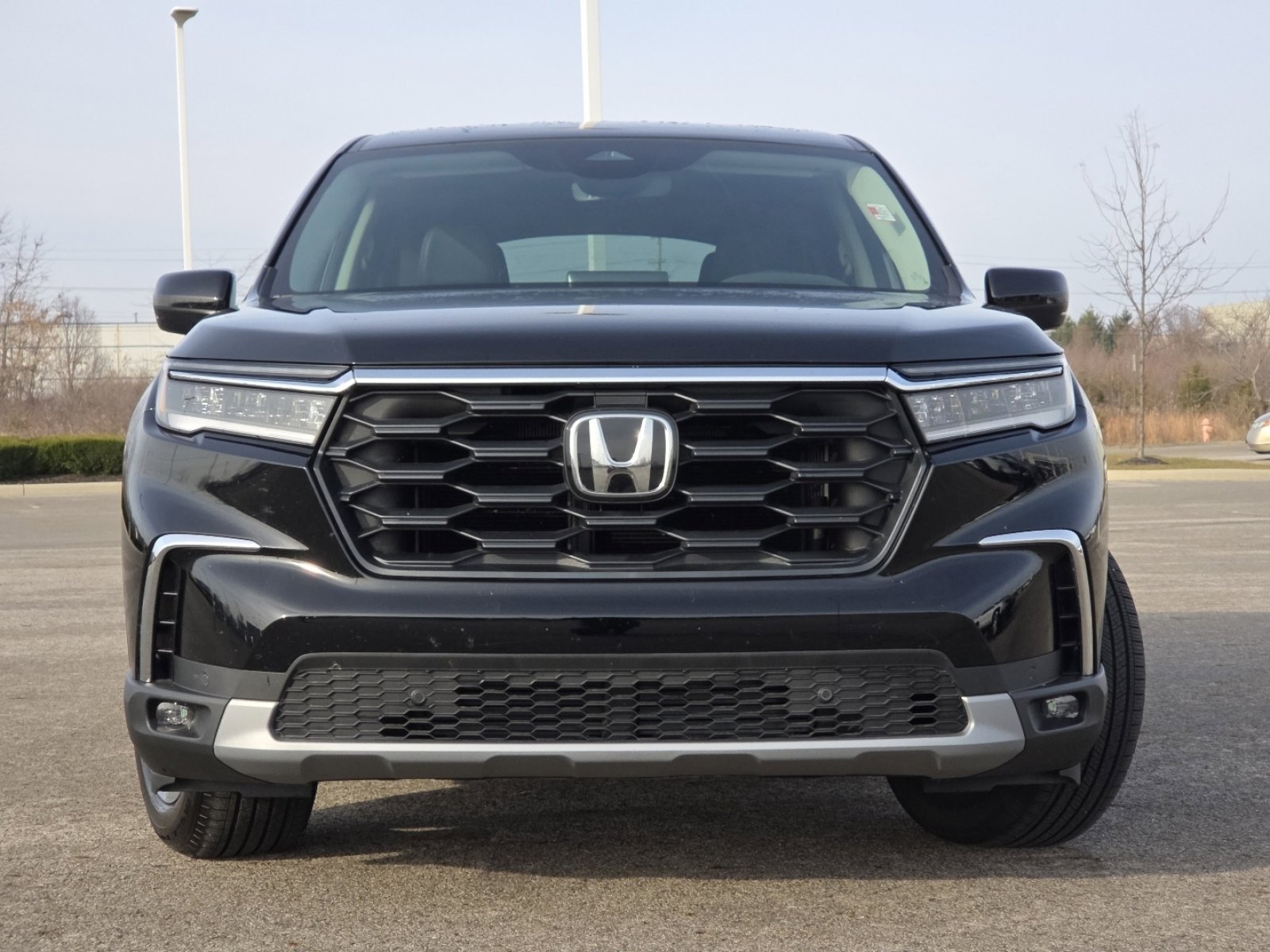 Used 2025 Honda Pilot EX-L image 10