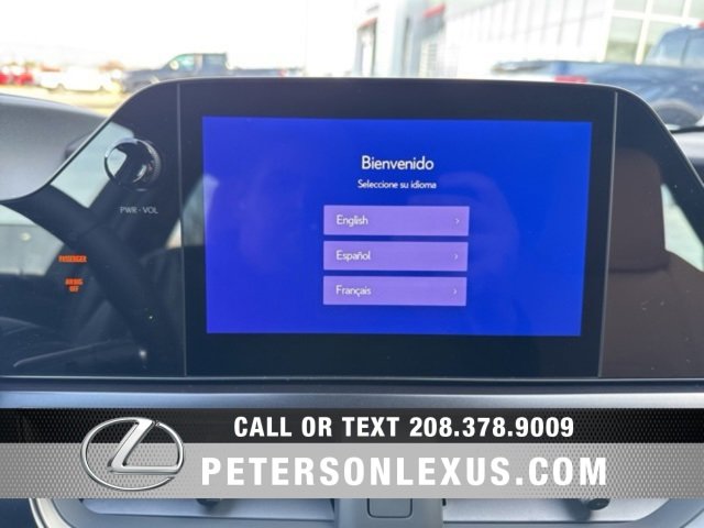 New 2025 Lexus UX 300h AWD image 15