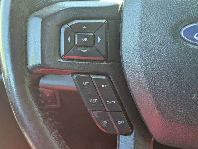 Used 2019 Ford F150 XLT w/ Equipment Group 302A Luxury AWD/4WD image 24