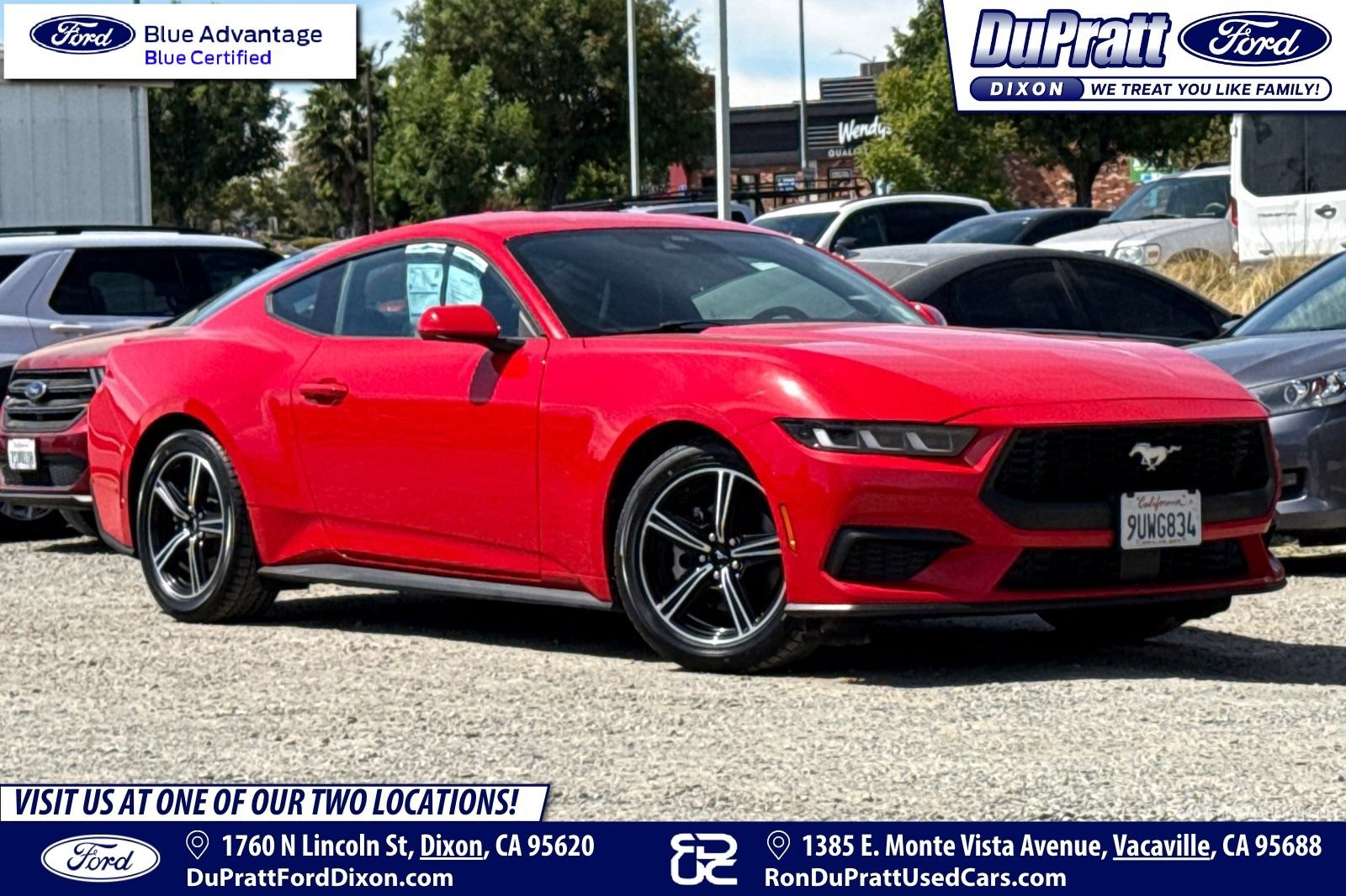 Certified 2024 Ford Mustang Premium RWD image 1