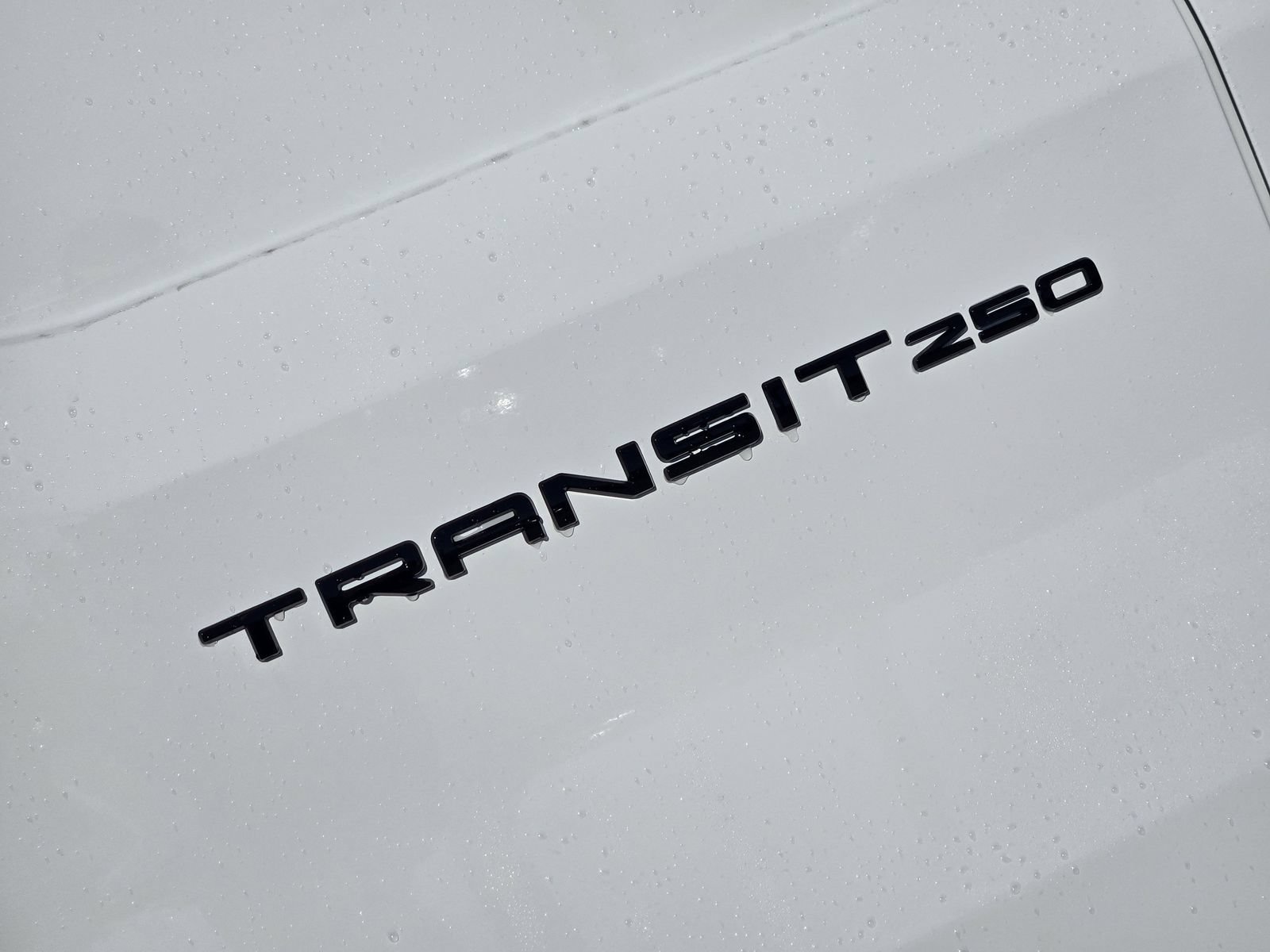 New 2026 Ford Transit 250 148 Medium Roof w/ Load Area Protection Package RWD image 11