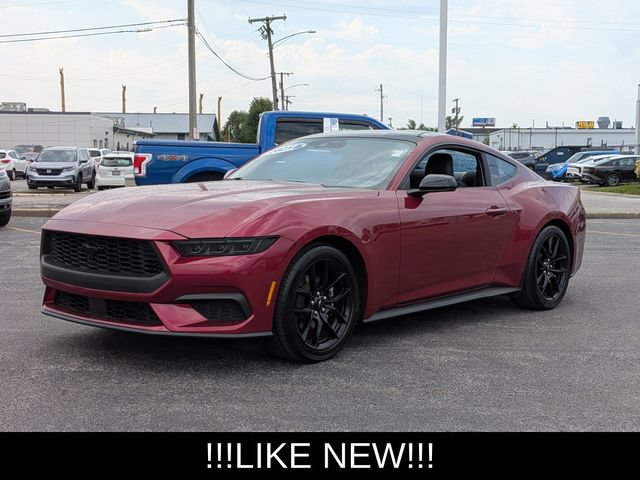 Used 2025 Ford Mustang Premium w/ Mustang Nite Pony Package RWD image 4