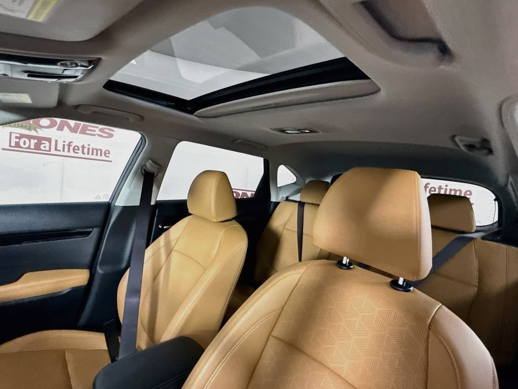 Used 2025 Kia Seltos EX w/ EX Sunroof Package AWD/4WD image 12