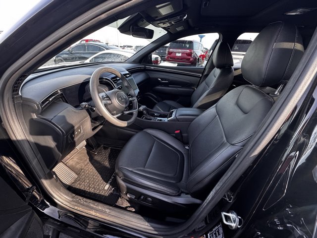 Used 2024 Hyundai Santa Cruz Night image 5