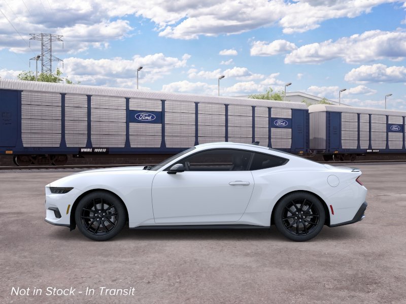 New 2026 Ford Mustang Coupe w/ Mustang Nite Pony Package RWD image 3