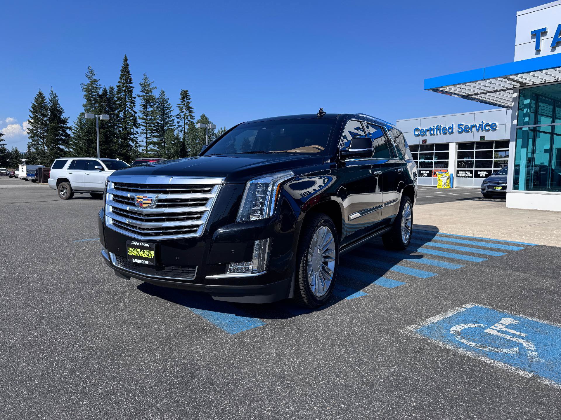 Used 2017 Cadillac Escalade Platinum AWD/4WD image 3