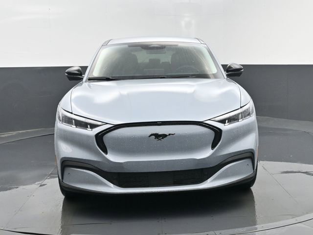 New 2025 Ford Mustang Mach-E Premium w/ Interior Protection Package image 23