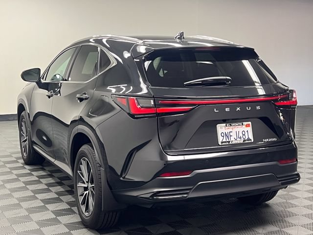 Certified 2025 Lexus NX 250 FWD image 7
