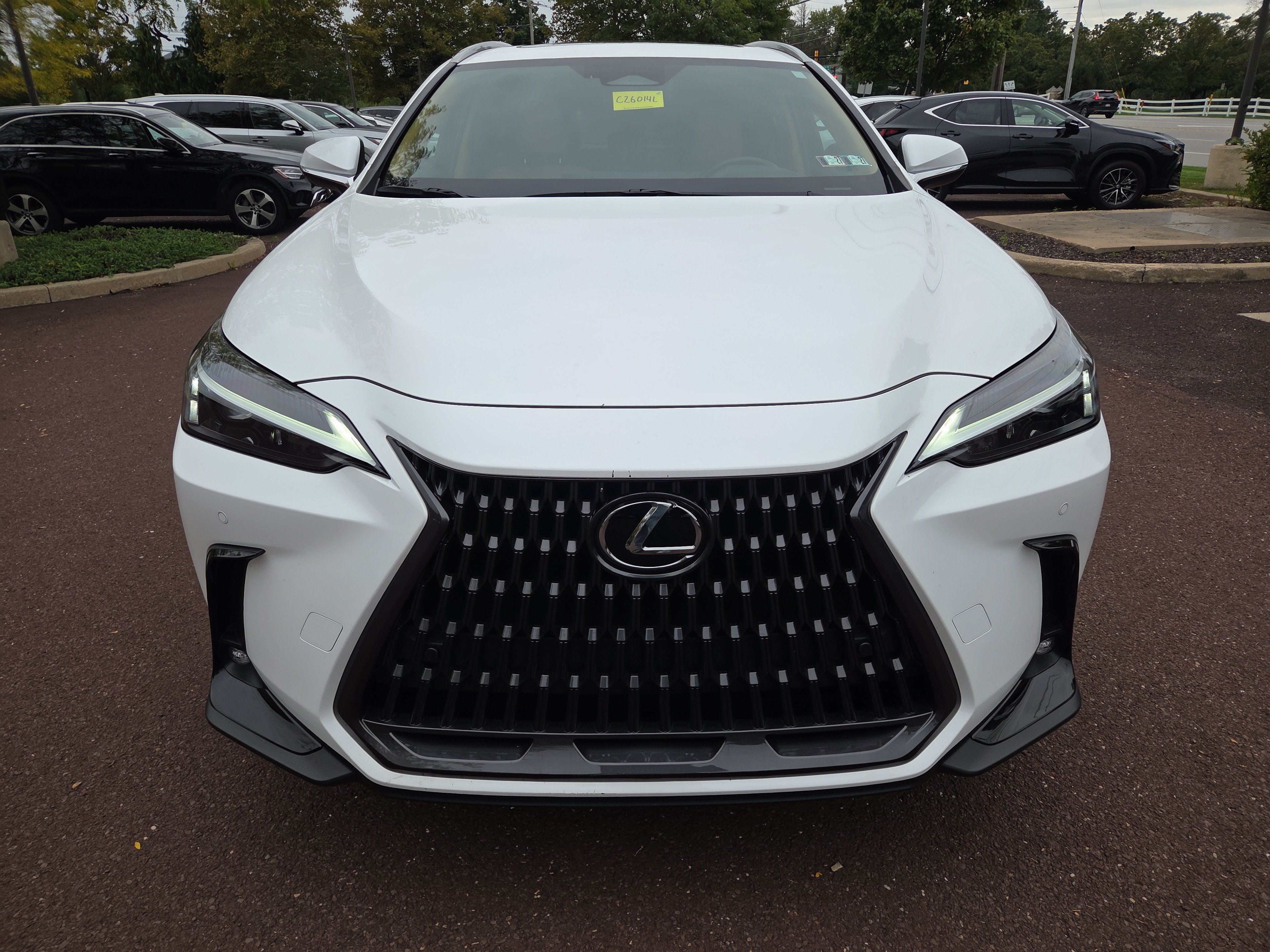 Certified 2026 Lexus NX 350h AWD w/ Cold Area Package image 8