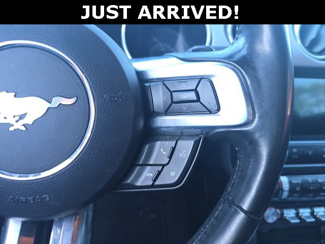 Used 2021 Ford Mustang GT Premium w/ Black Accent Package image 12