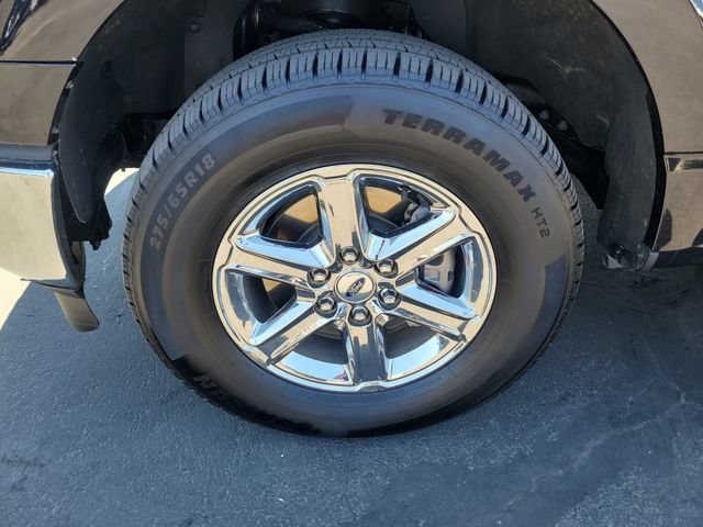 Used 2025 Ford F150 XLT w/ Equipment Group 301A Standard AWD/4WD image 31