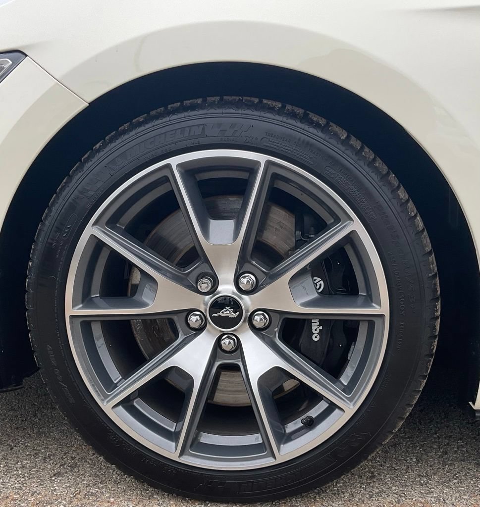 Used 2015 Ford Mustang 50 Years RWD image 6