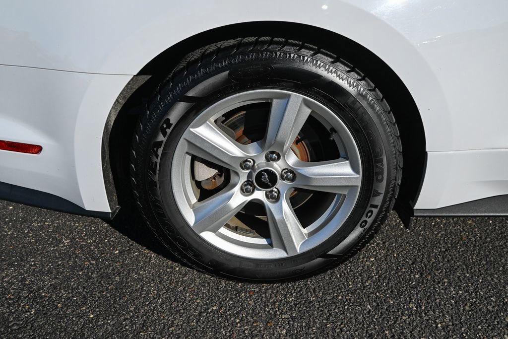 Used 2019 Ford Mustang Coupe image 14