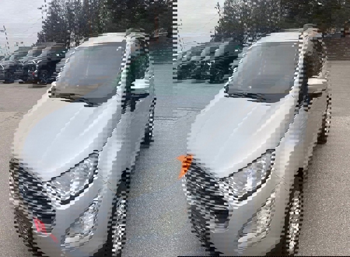 Used 2019 Ford EcoSport SE image 1