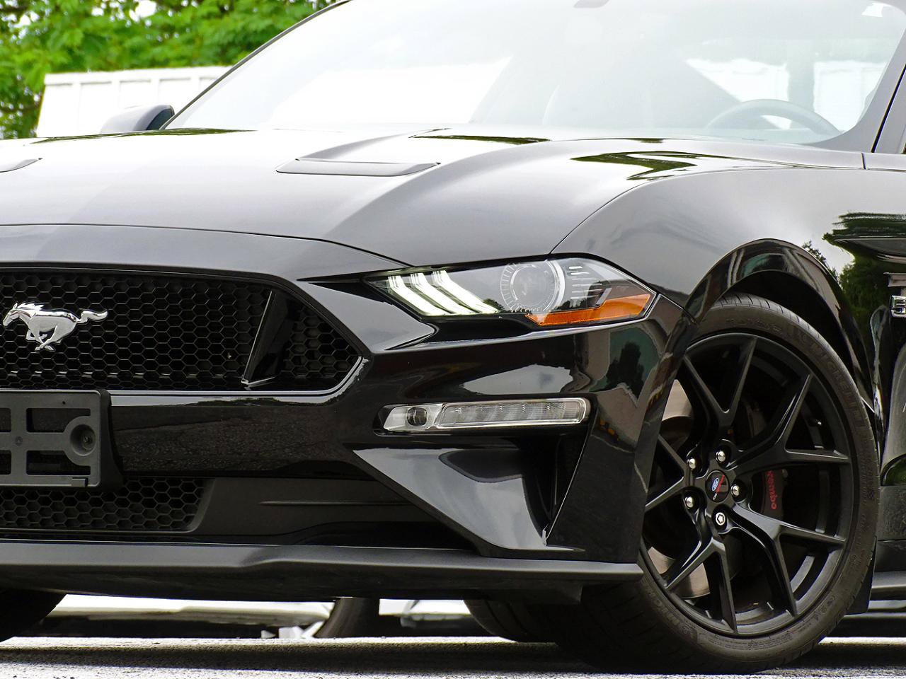 Used 2019 Ford Mustang GT Premium w/ Performance Package - Level 2 RWD image 11