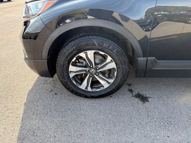 Used 2019 Honda CR-V LX image 13