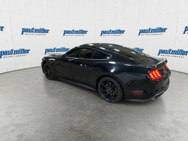 Used 2019 Ford Mustang EcoBoost w/ Black Accent Package image 8