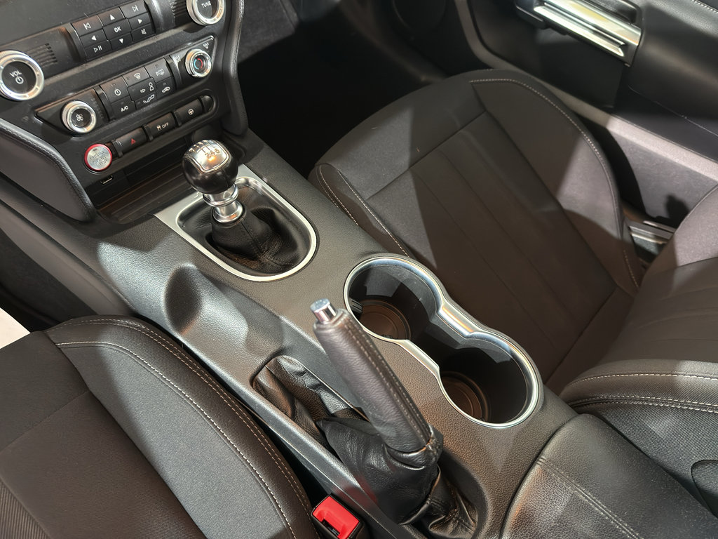 Used 2023 Ford Mustang GT w/ Mustang Nite Pony Package image 18