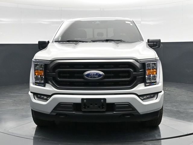 Used 2023 Ford F150 XLT w/ Equipment Group 302A High image 4