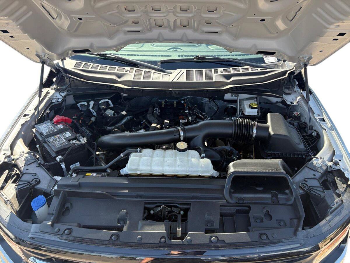 Used 2025 Ford F150 XLT w/ Equipment Group 301A Standard AWD/4WD image 19