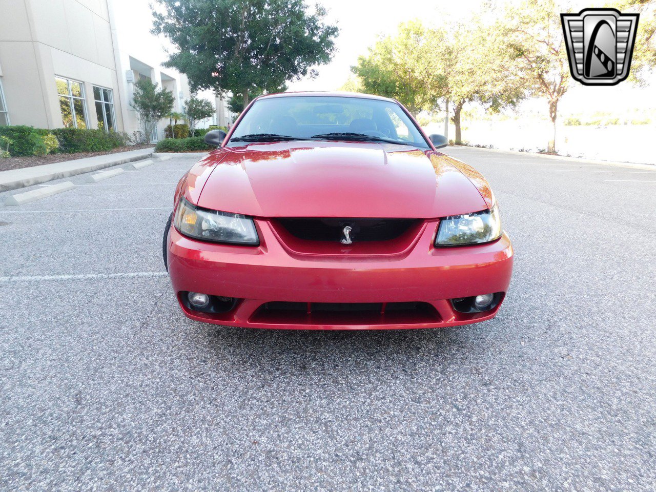 Used 2001 Ford Mustang Cobra image 2