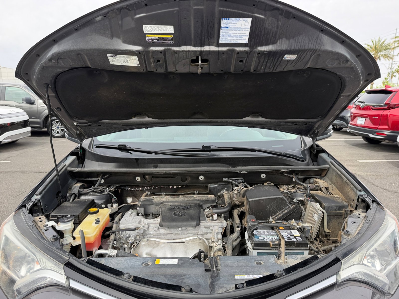 Used 2017 Toyota RAV4 XLE w/ Premium Special Value Package image 20