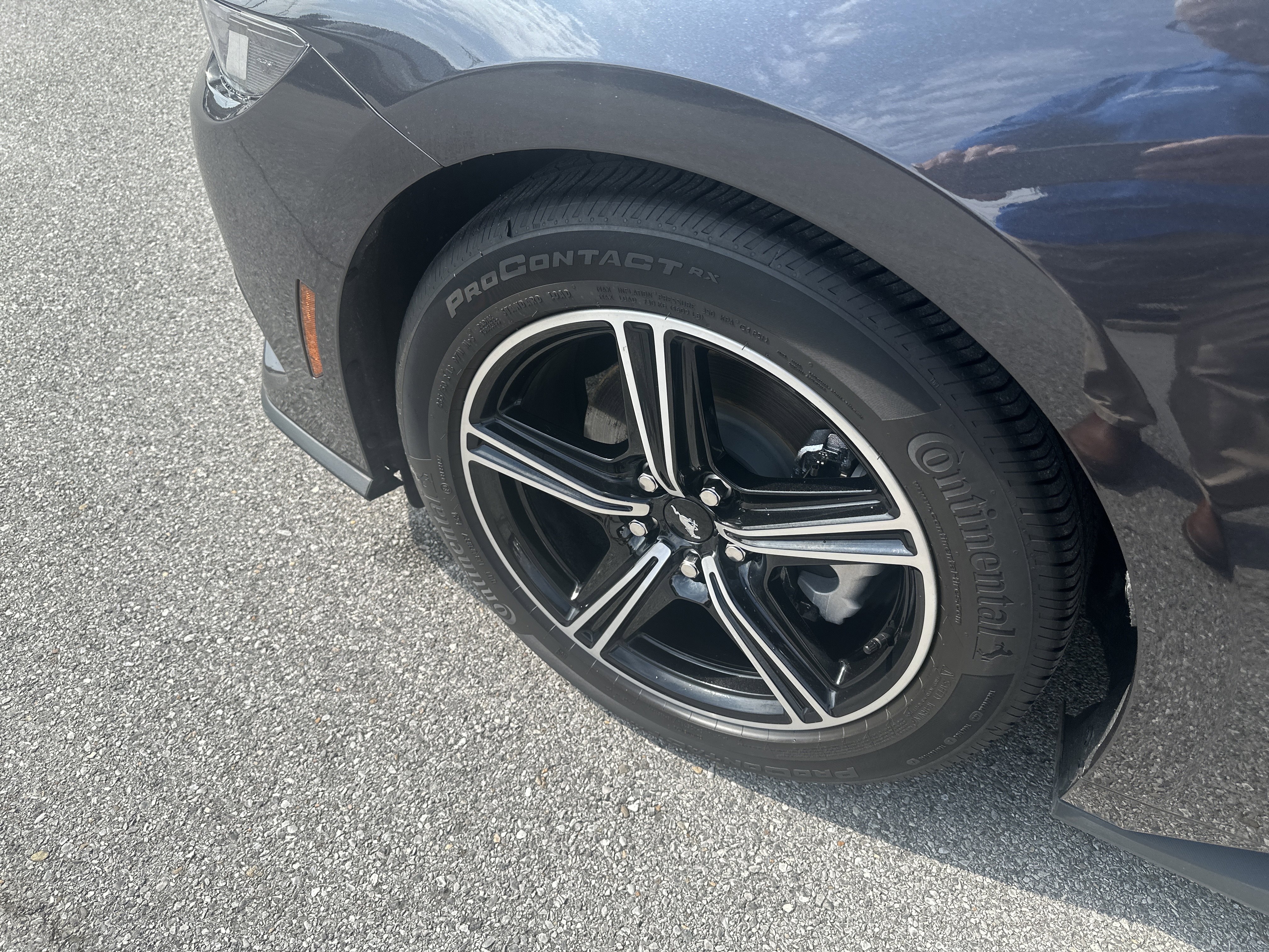 Used 2024 Ford Mustang Coupe image 11