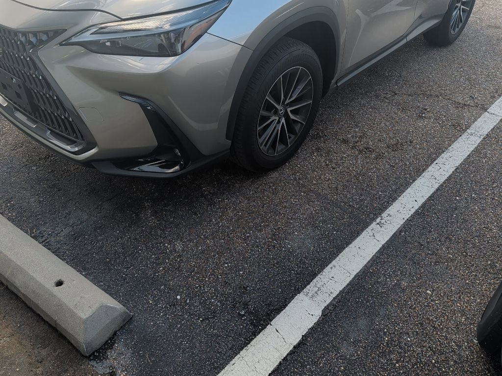 Used 2024 Lexus NX 250 FWD image 5