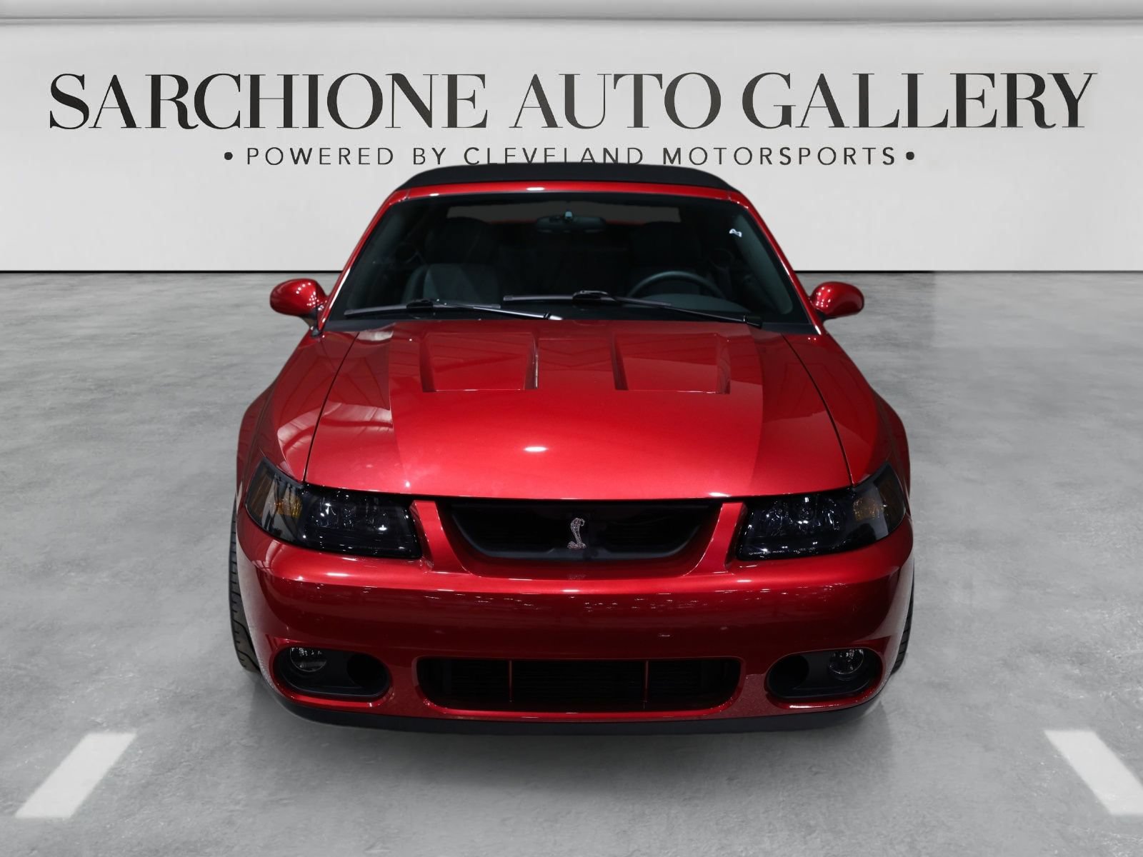 Used 2003 Ford Mustang Cobra RWD image 7