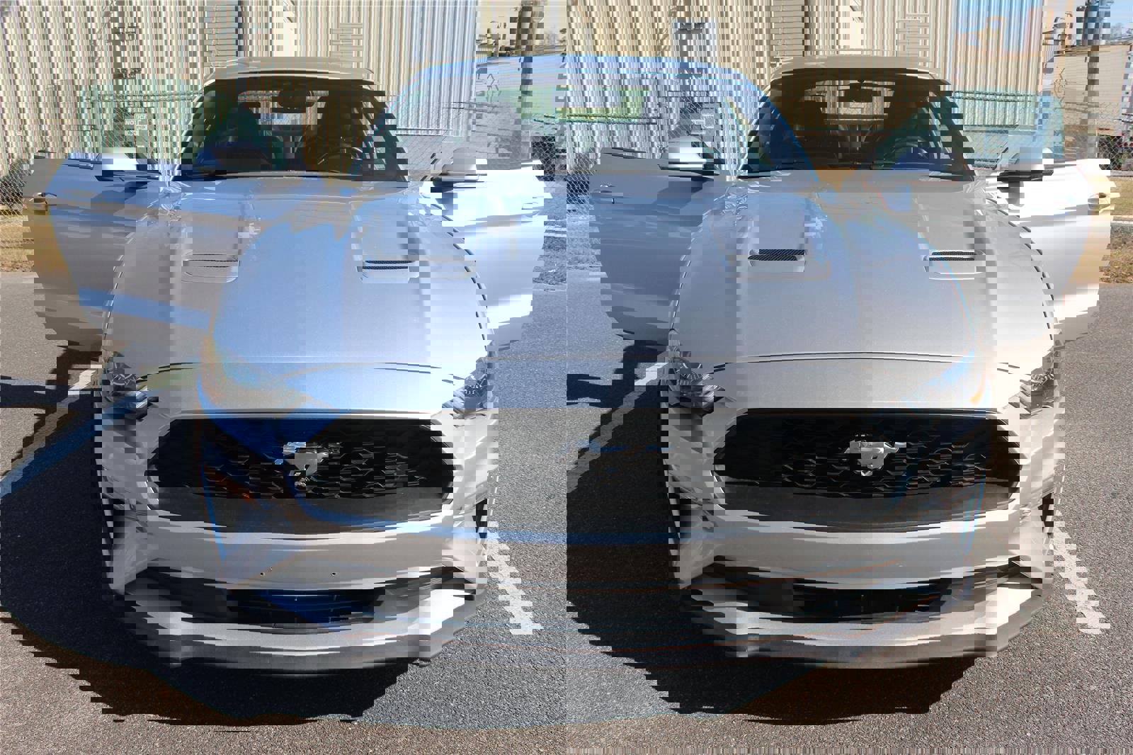 Used 2019 Ford Mustang Premium image 16