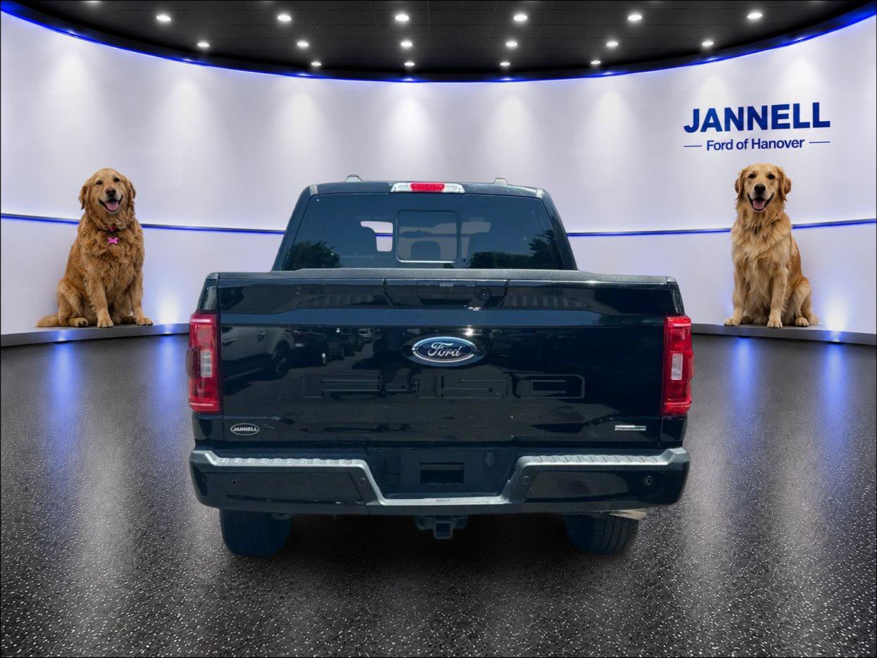 Used 2023 Ford F150 XLT w/ Equipment Group 302A High AWD/4WD image 7