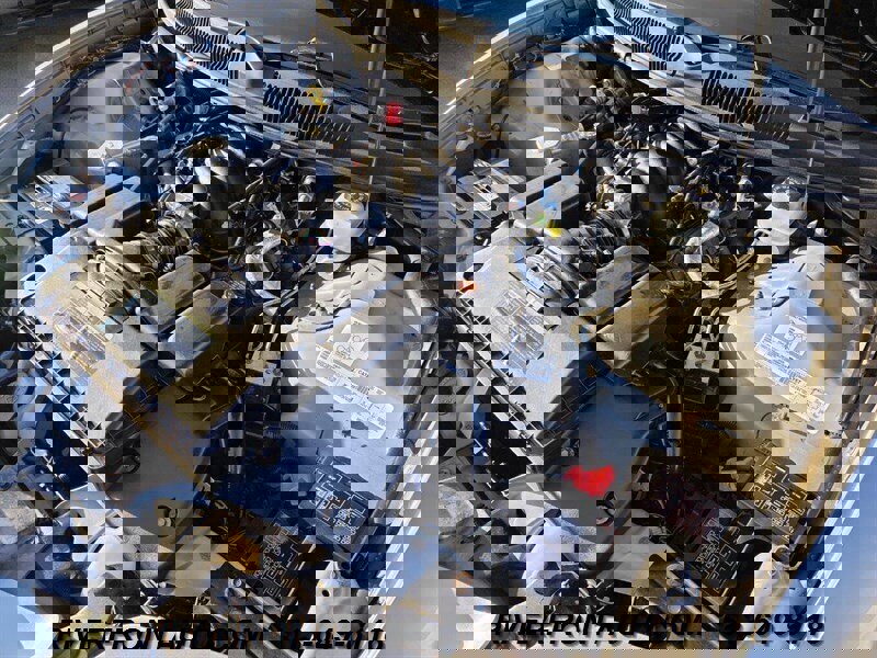 Used 2002 Pontiac Firebird Trans Am image 20