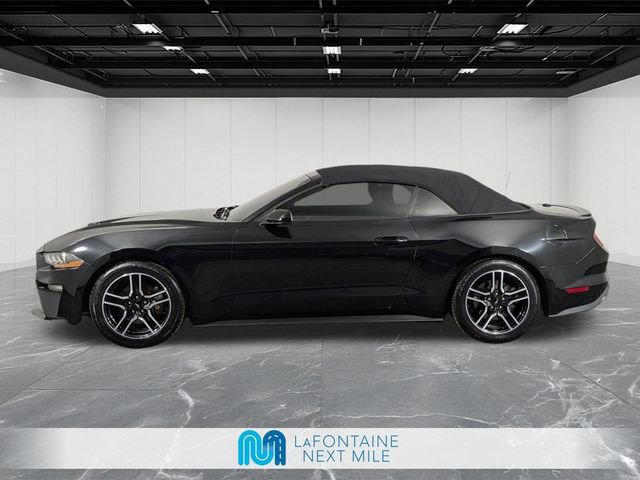 Used 2021 Ford Mustang Premium RWD image 2