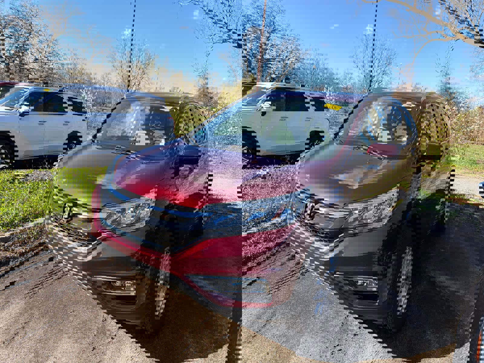 Used 2016 Honda CR-V EX-L image 8