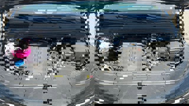 New 2026 Kia Carnival SX Prestige image 13