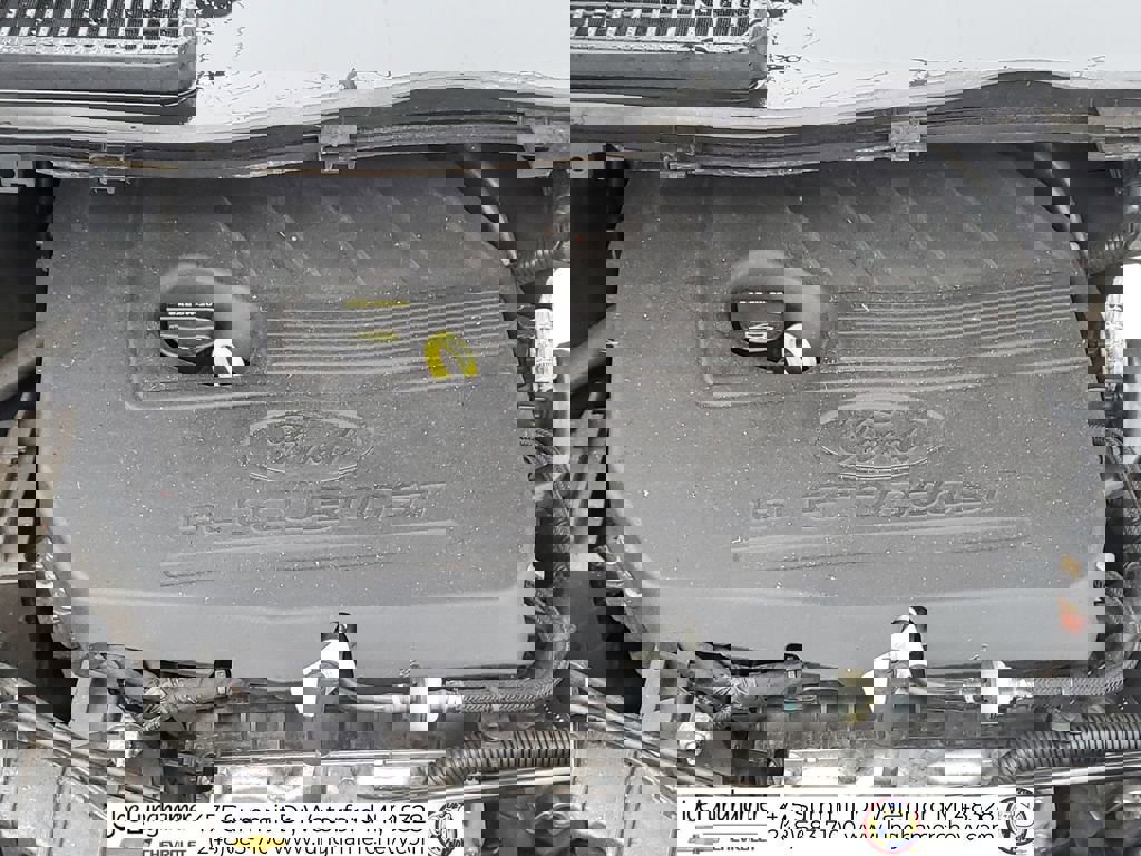 Used 2017 Ford Escape SE w/ SE Sport Appearance Package image 29