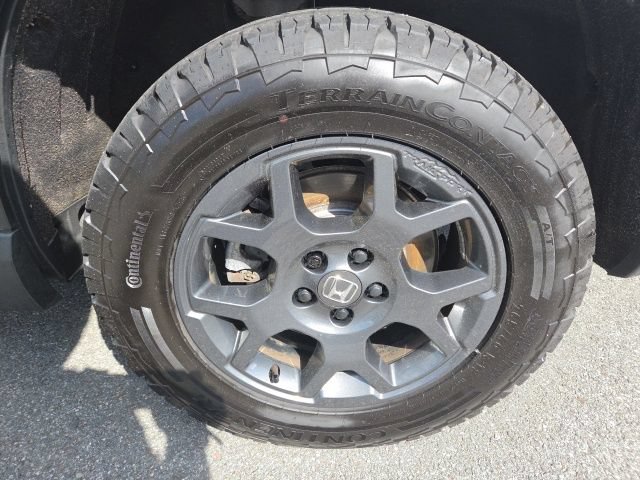 Used 2025 Honda Pilot TrailSport image 3
