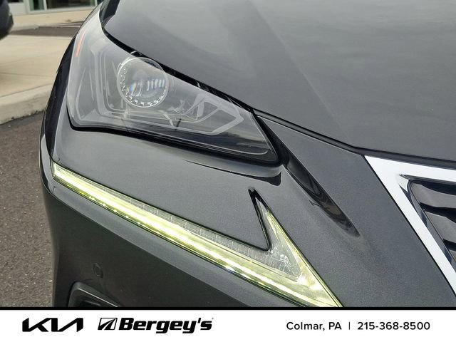 Used 2020 Lexus NX 300h AWD w/ Premium Package image 11