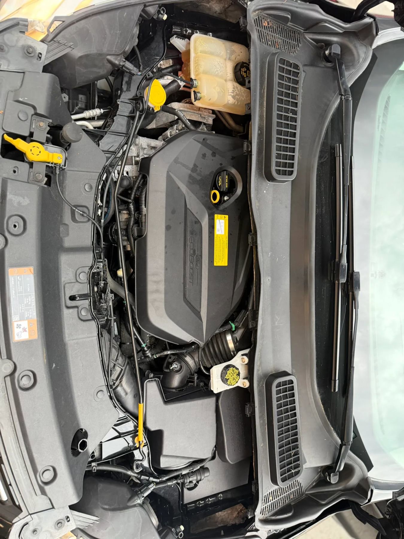 Used 2015 Ford Escape SE image 12
