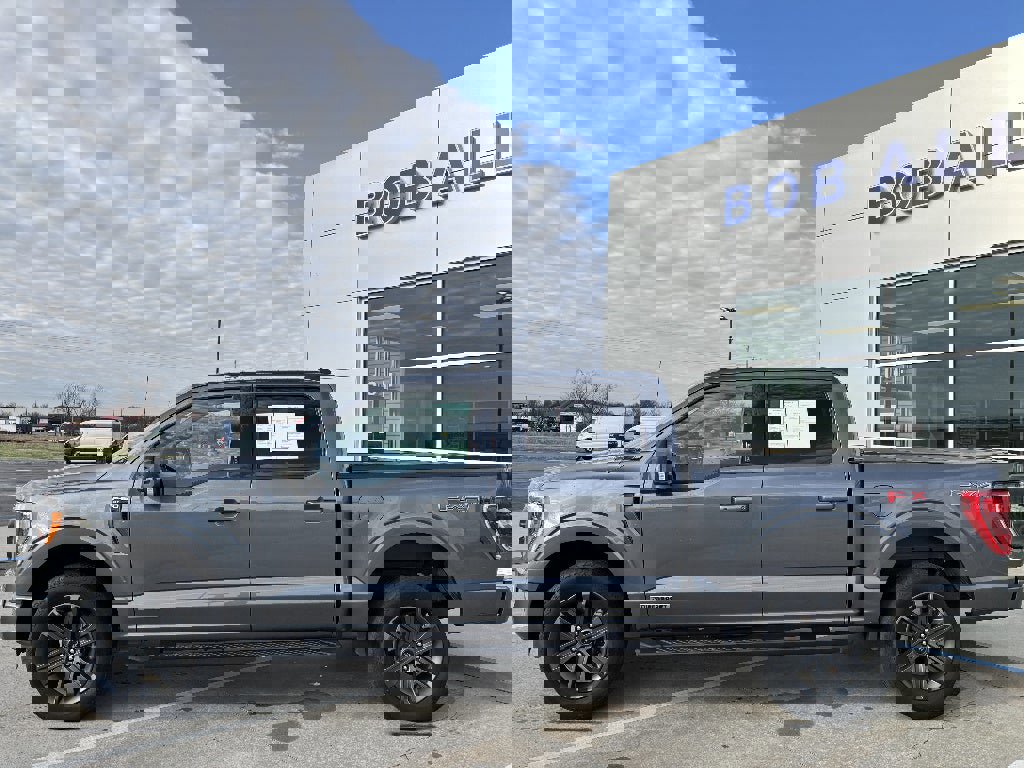 Used 2023 Ford F150 XLT w/ Equipment Group 302A High image 2