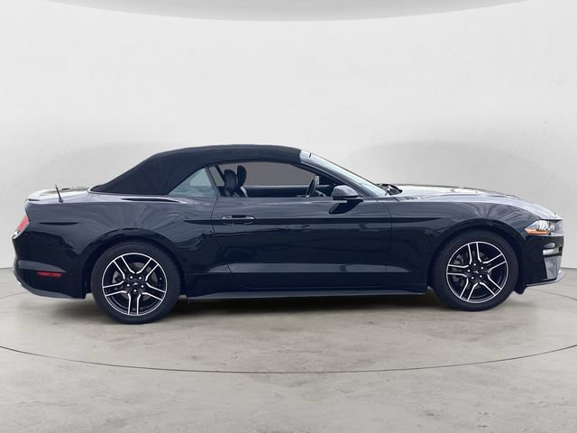 Used 2022 Ford Mustang Premium RWD image 6