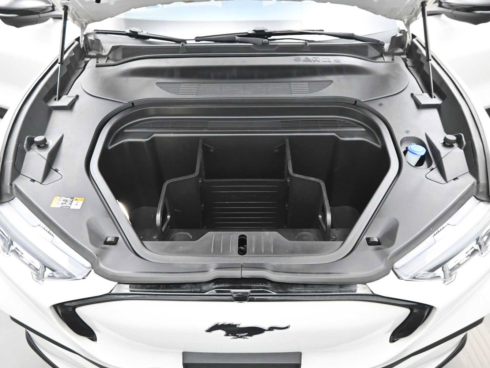 Used 2021 Ford Mustang Mach-E Premium image 18