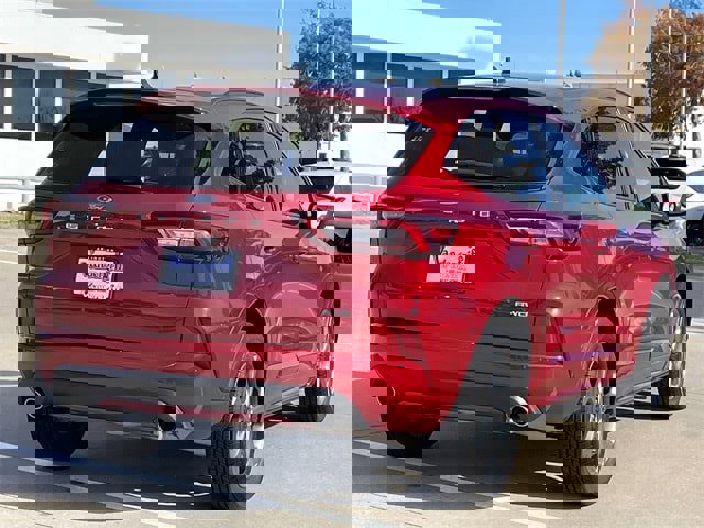 Used 2024 Ford Escape ST-Line image 4