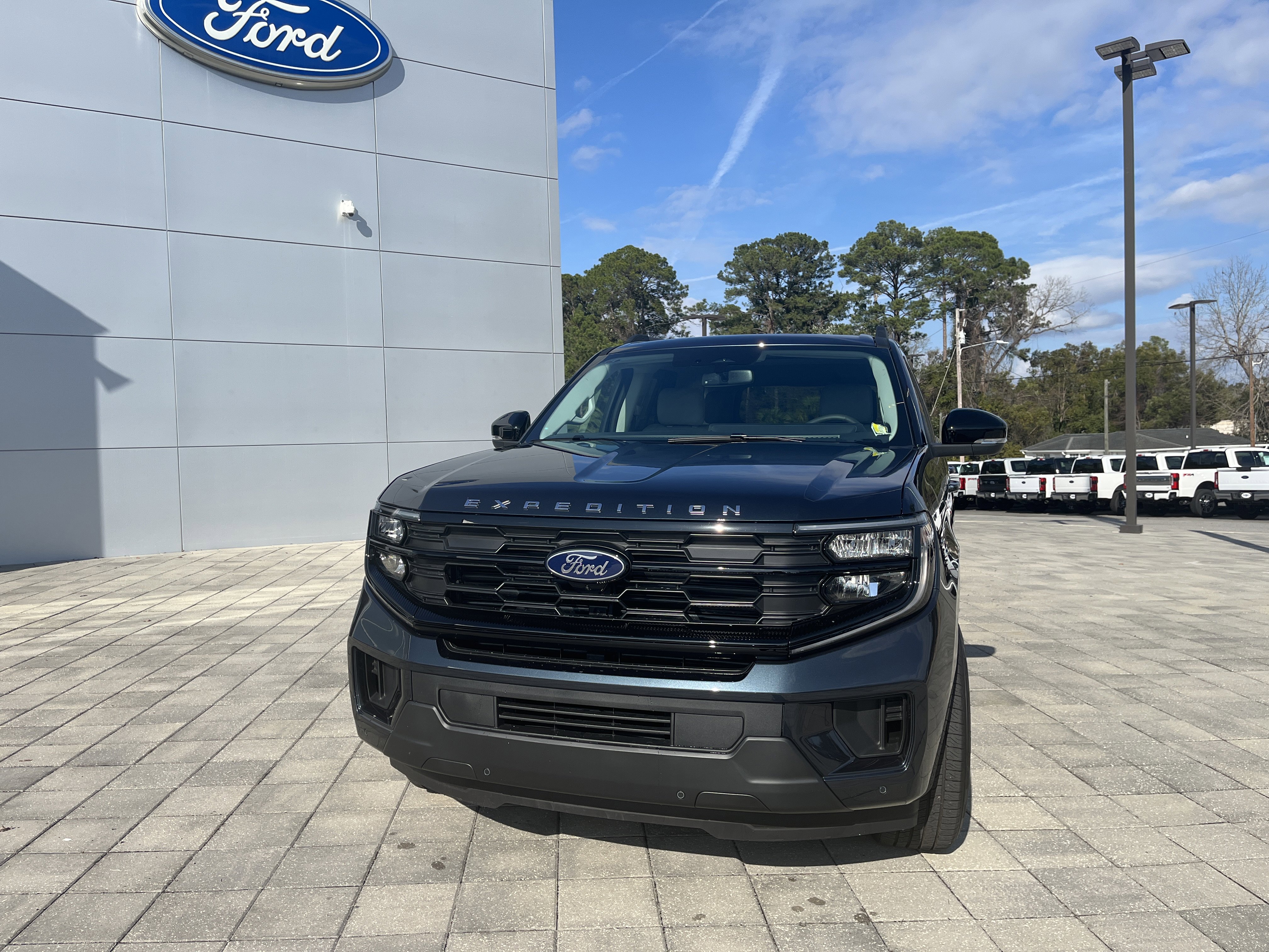 New 2025 Ford Expedition Active image 2