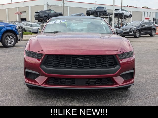 Used 2025 Ford Mustang Premium w/ Mustang Nite Pony Package RWD image 3