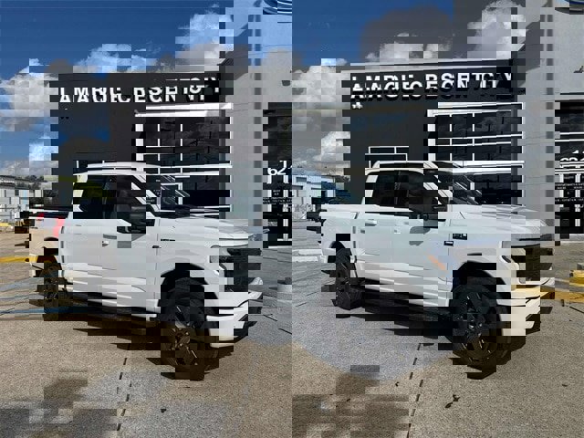 New 2025 Ford F150 Lightning Flash