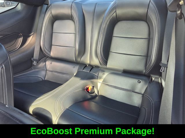 Used 2024 Ford Mustang Premium image 11