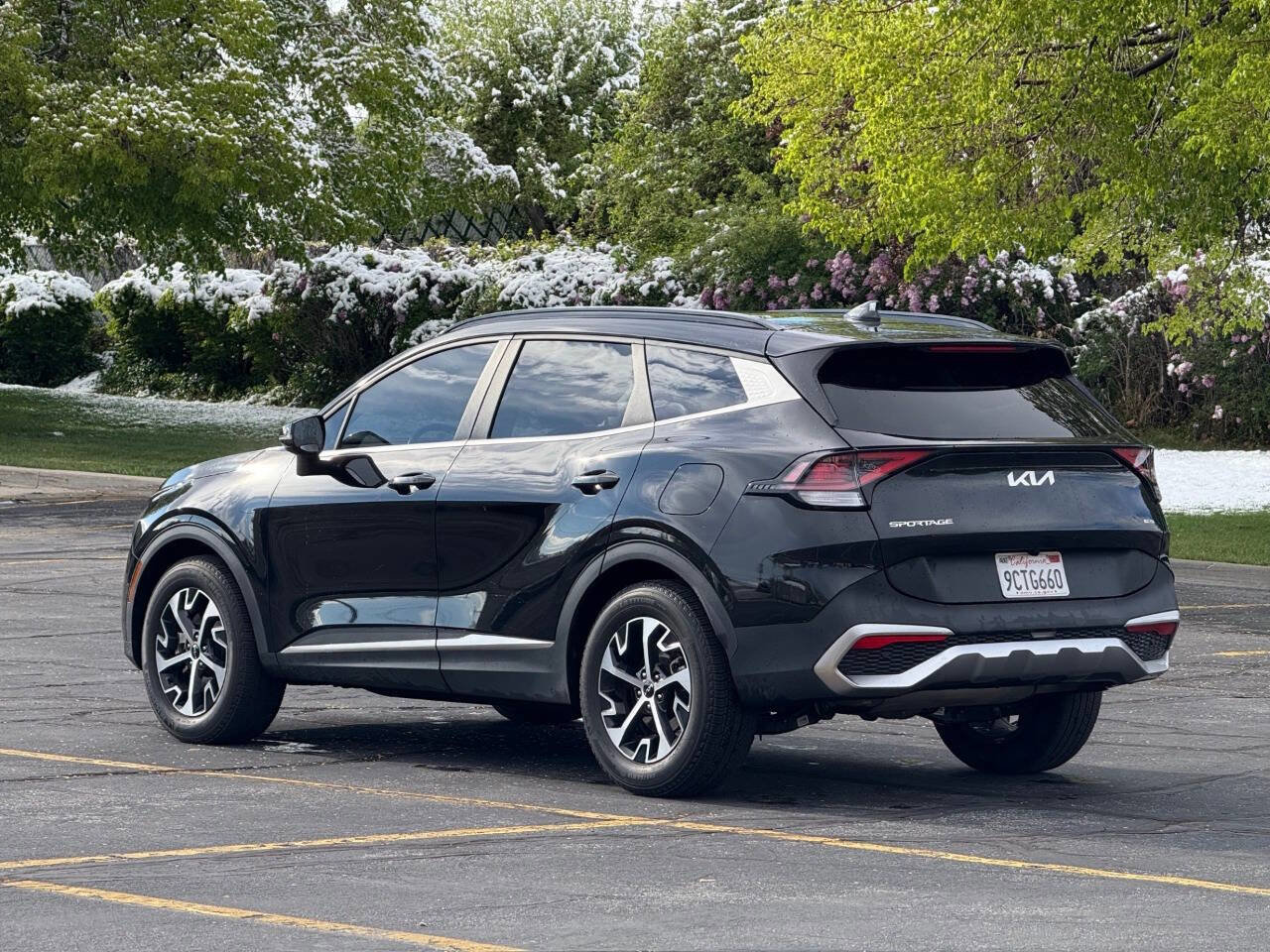 Used 2023 Kia Sportage EX w/ EX Premium Package image 7