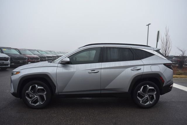 Used 2022 Hyundai Tucson Limited image 6
