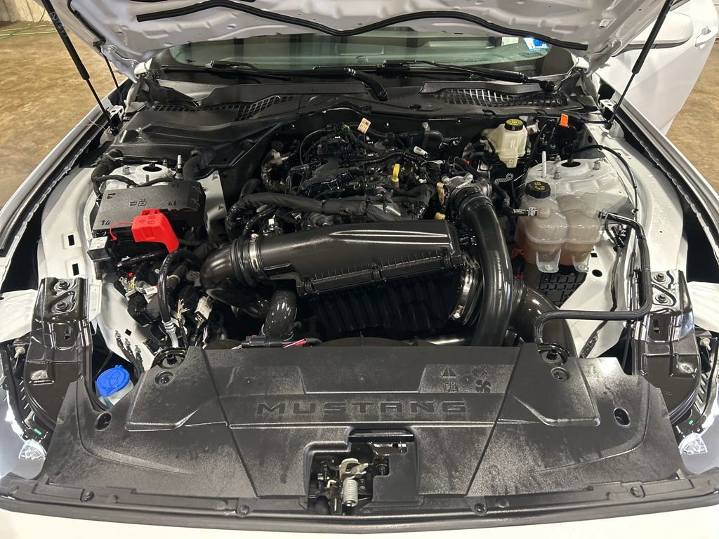 Used 2024 Ford Mustang Premium image 11